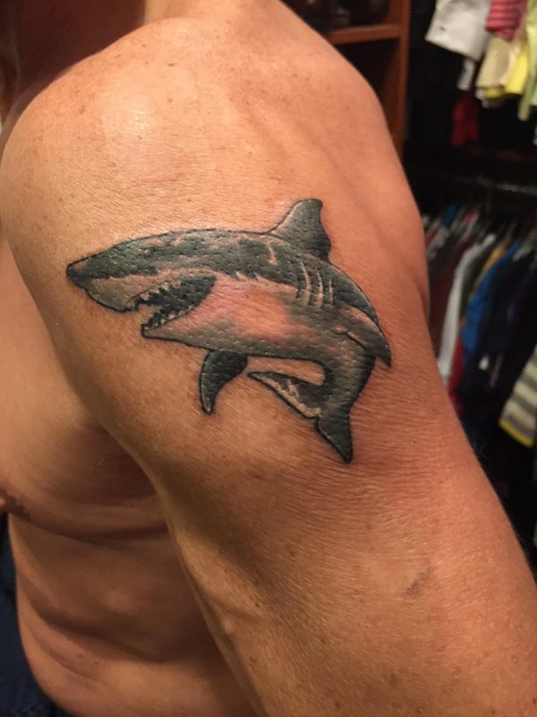 Shark Tattoo - Kevin Harrington